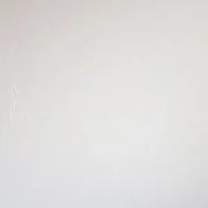Po jakim czasie można malować gładź